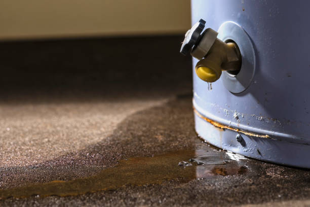 Best Water damage restoration company  in Queen Anne, MD