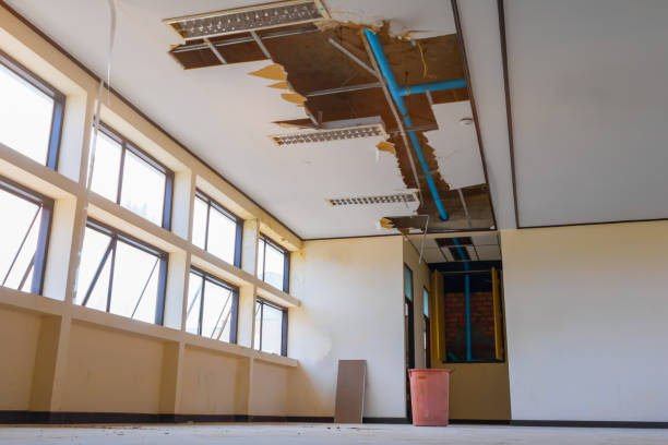 Best Ceiling water damage repair  in Queen Anne, MD
