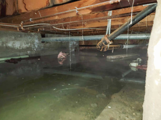 Best Commercial water damage restoration  in Queen Anne, MD