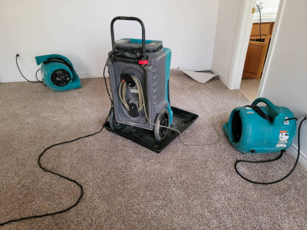 Professional Water damage restoration in Queen Anne, MD