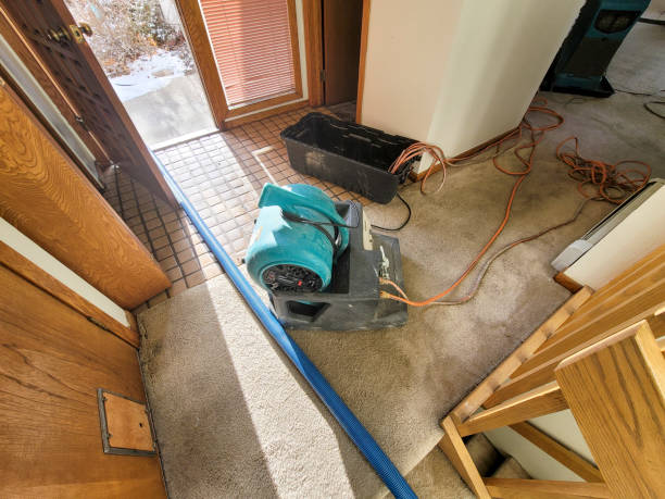 Best 24/7 water damage repair  in Queen Anne, MD