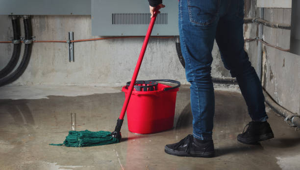 Best Flood restoration services  in Queen Anne, MD