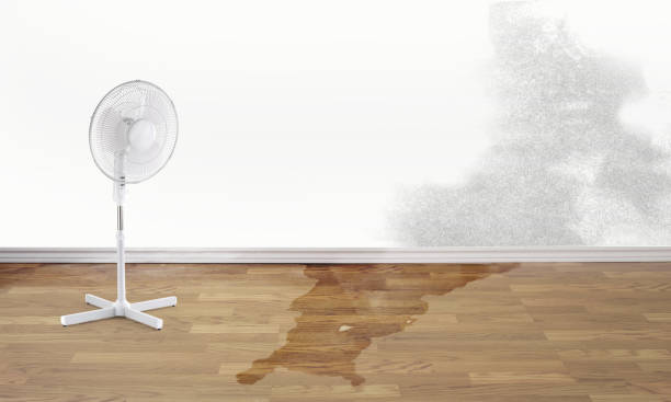 Best Water damage restoration near me  in Queen Anne, MD