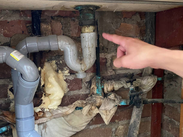 Best Water damage mitigation services  in Queen Anne, MD